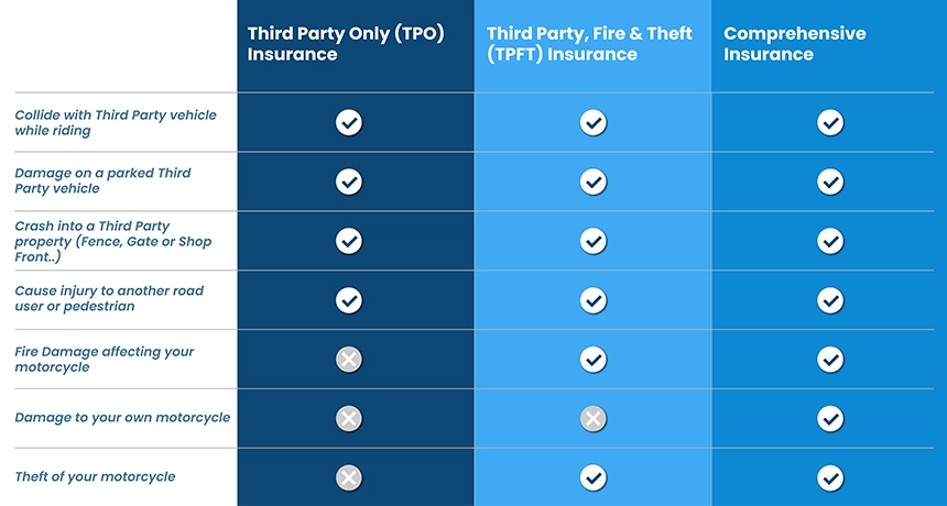 graphic 2.webp (1)