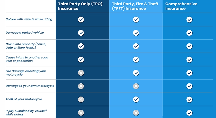 graphic 2.webp